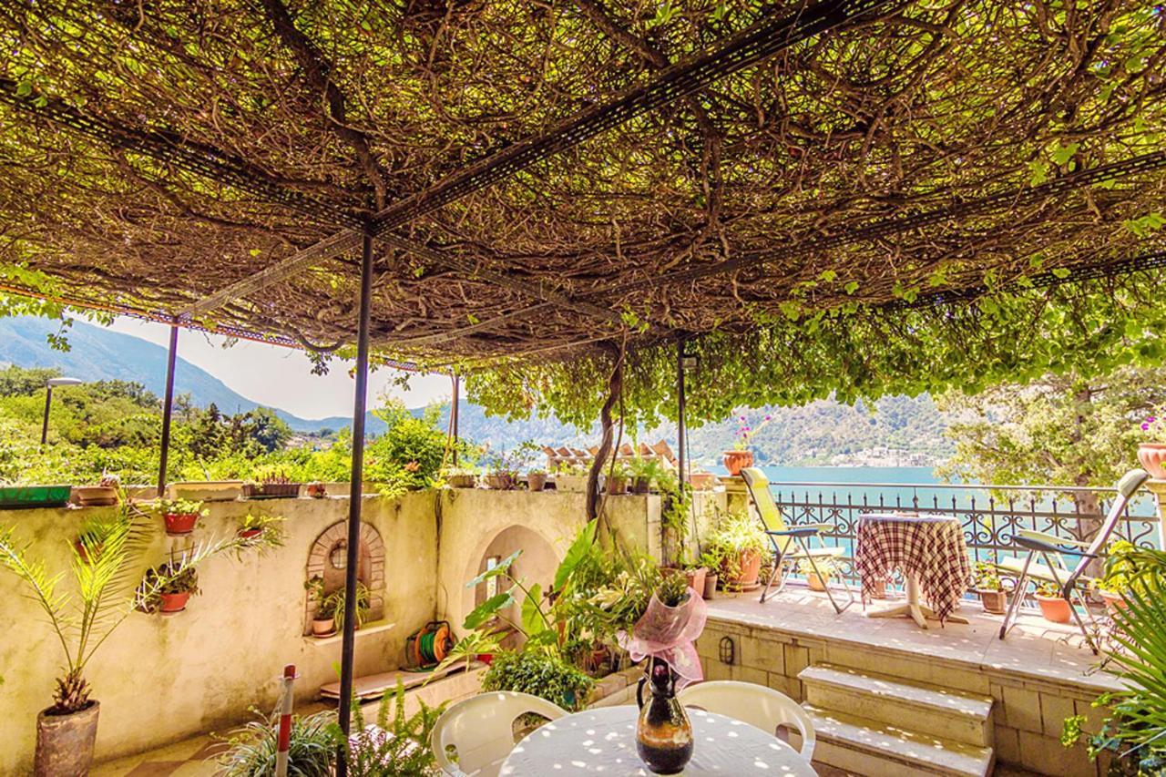 Villa Donkovic Kotor Extérieur photo